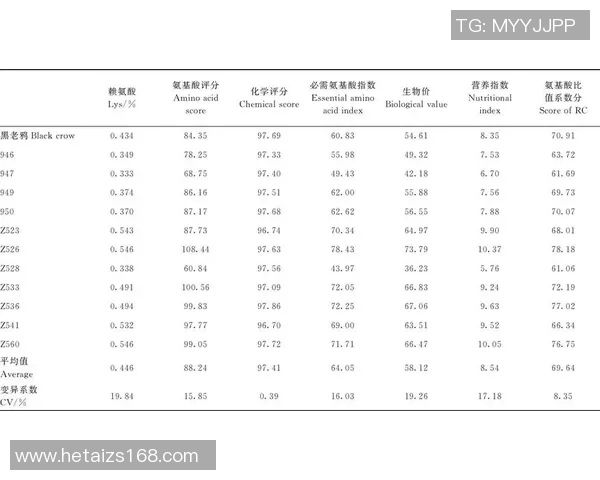 南京排球队在挑战赛中的速度表现分析与点评