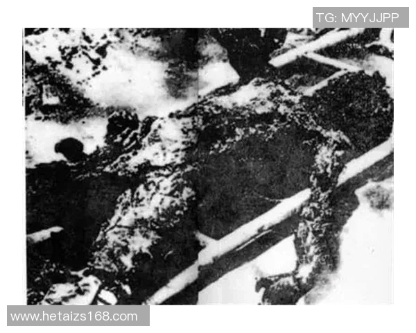 南京乒乓球队奋斗历程的真实记录与辉煌成就分享 南京乒乓球队奋斗历程的真实记录与辉煌成就分享