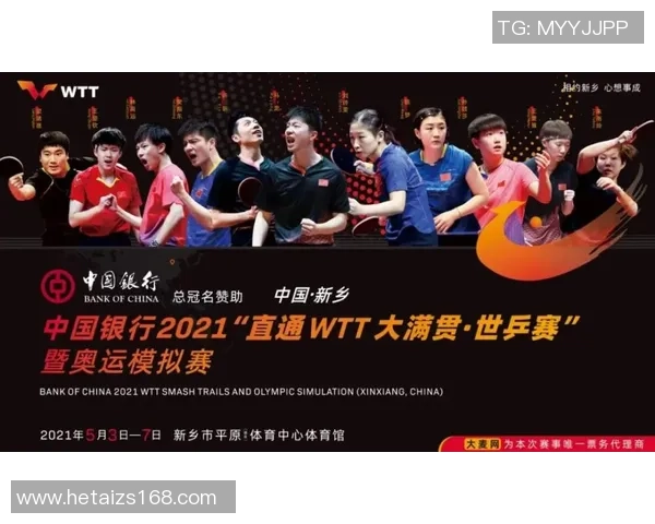 南京排球队的转型之路探索与挑战并存的冠军赛特别报道